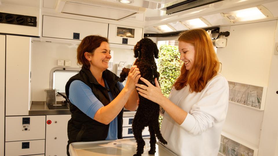 Tierärztin und Auszubildende untersuchen einen Hund und lächeln dabei