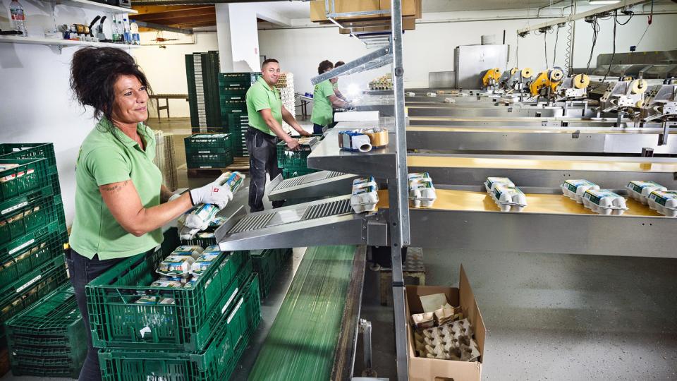Mitarbeiter der Owi-Ei machen eine "Abnahme" der Eier-Verpackungen an den Produktionsbändern