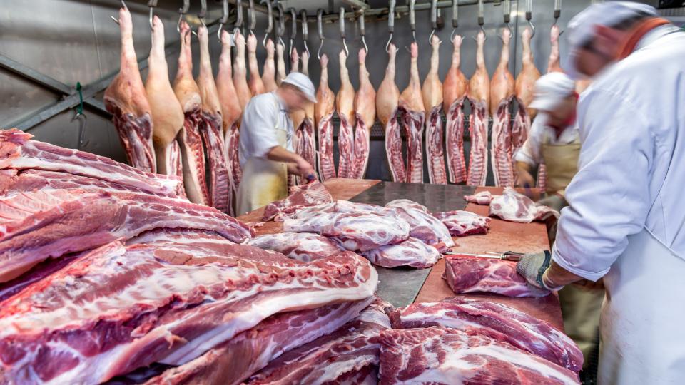 Fleischer arbeiten an einem großen Tisch und zerteilen Schweinerücken.